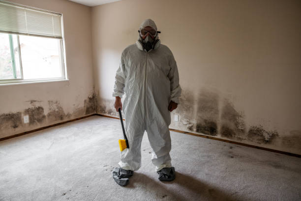 Best Local Mold Removal Service  in Glassboro, NJ